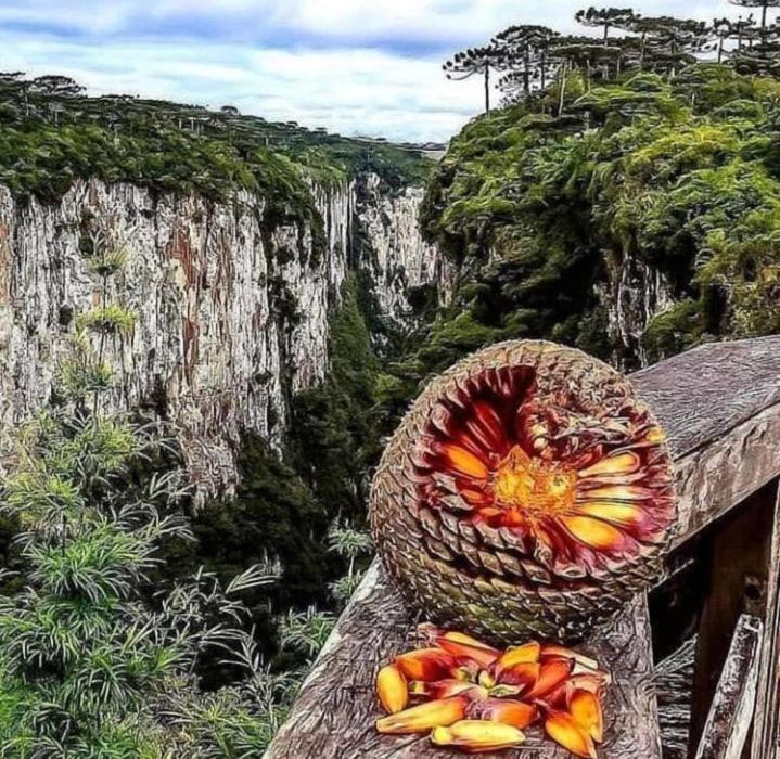 Pousada Encanto Dos Canions Камбара Экстерьер фото